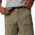 Columbia Maxtrail Lite 397 grün Herren-Trekking-Shorts 1990471 4