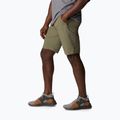 Columbia Triple Canyon 397 grün Herren-Trekking-Shorts 1711701 3
