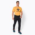 Herren Softshellhose Columbia Tech Trail II 010 schwarz 2016711 2