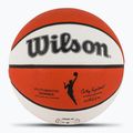 Wilson-Basketball