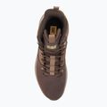 Schuhe Herren CATerpillar Colorado Sneaker coffee bean / rain drum 5