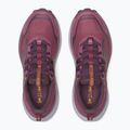 Laufschuhe Damen Saucony Xodus Ultra 4 terra/wine 12