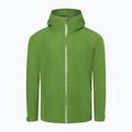 Herren Marmot Minimalist Pro Gore Tex Regenjacke grün M12351 4