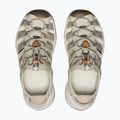 KEEN Astoria West plaza taupe/roasted pecan Damen Sandalen 5