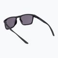 Sonnenbrille Nike Sky Ascent black/dark grey 2