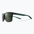 Sonnenbrille Nike Sky Ascent concord/green 5
