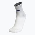 Socken Brooks Elite white/cobalt