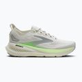 Brooks Glycerin Herren-Laufschuhe 23 grey/green/black 2