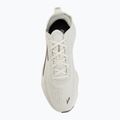 Herren-Laufschuhe Brooks Glycerin Flex bluewash/morel/beige 5