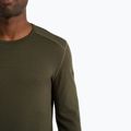 Herren Thermoaktivshirt icebreaker 260 Tech Crewe loden 4