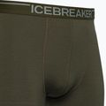 Thermo-Boxershorts für Männer Icebreaker Anatomica Loden 103029 3