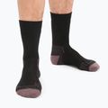 Icebreaker Herren Trekkingsocken Hike+ Medium Crew schwarz/nerz/monsun 2