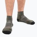 Icebreaker Herren-Trekkingsocken Hike+ Light Mini loden/blk/gritsone hthr 3