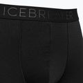 Herren Thermo-Boxershorts Icebreaker Anatomica Cool-Lite schwarz 105223 3