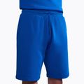 Herren Napapijri Nalis Sum blau lapis Shorts 4