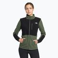 Damen Fleece-Sweatshirt The North Face Diablo Midlayer schwarz-grün NF0A5IHUWTQ1