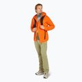 Icebreaker 200 Oasis Sonebula High Neck Herren Thermo-Longsleeve galaxy/moss/blaze 7