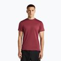 Herren-Trekkingshirt icebreaker Merino 125 Cool-Lite Sphere III port