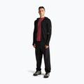 Herren-Trekkingshirt icebreaker Merino 125 Cool-Lite Sphere III port 2