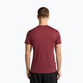 Herren-Trekkingshirt icebreaker Merino 125 Cool-Lite Sphere III port 3