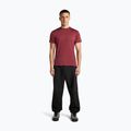 Herren-Trekkingshirt icebreaker Merino 125 Cool-Lite Sphere III port 4