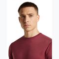Herren-Trekkingshirt icebreaker Merino 125 Cool-Lite Sphere III port 5