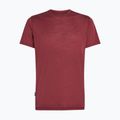 Herren-Trekkingshirt icebreaker Merino 125 Cool-Lite Sphere III port 6
