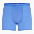 Thermo-Boxershorts für Männer icebreaker Anatomica baja