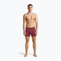 Thermo-Boxershorts für Herren icebreaker Anatomica Boxers port 3