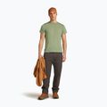 Herren T-Shirt Icebreaker Merino Core Tee lichen 4