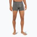 Thermo-Boxershorts für Männer icebreaker Merino 125 Cool-Lite Anatomica gritstone heather 2