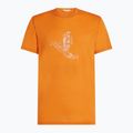 Herren Icebreaker Merino 150 Tech Lite Skiing T-Shirt Yeti ray 6