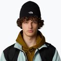 Herren-Trekkingmütze The North Face Norm Beanie schwarz 4