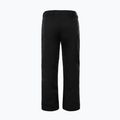 Herren Skihose The North Face Chakal schwarz NF0A5IYVJK31 6