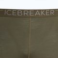 Herren-Thermohose icebreaker 200 Oasis loden 3