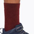 Icebreaker Herren Trekkingsocken Hike+ Medium Crew port/blaze/bittersweet 4