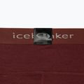 Icebreaker Damen Thermo-Hose 200 Oasis braun IB1043830641 10