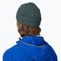 Patagonia Brodeo Wintermütze fitz roy icon/nouveau grün 3