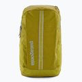 Patagonia Black Hole Pack 25 l Strauch grün Wanderrucksack