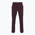 Herren Patagonia Point Peak Trail-Regular Obsidian Pflaume Trekkinghose