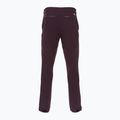 Herren Patagonia Point Peak Trail-Regular Obsidian Pflaume Trekkinghose 2