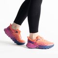Damen Laufschuhe HOKA Speedgoat 5 orange 1123158-FFCM 3