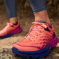 Damen Laufschuhe HOKA Speedgoat 5 Wide Festival fuchsia/camellia 11