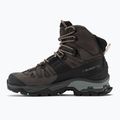 Damen-Trekkingschuhe Salomon Quest 4 GTX magnet/schwarz/sun 9