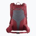 Wanderrucksack Salomon Trailblazer 3 l Aura Orange/Biking Red LC2599 2