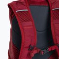 Wanderrucksack Salomon Trailblazer 2 l Aura Orange/Biking Red LC2597 5