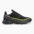Laufschuhe Herren Salomon Alphacross 5 GTX black/peat/sulphur spring 2