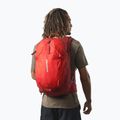 Salomon Trailblazer 30 l Wanderrucksack dahlia/high risk rot 3