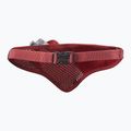 Salomon Active Belt 3D Bottle hohes Risiko rot / rot Dahlie laufen Gürtel 2