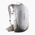 Salomon Trailblazer 20 l khaki/gletschergrau Wanderrucksack